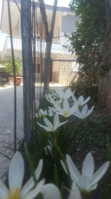 Grandma'S House Διαμέρισμα Αργυρόκαστρο Αλβανία